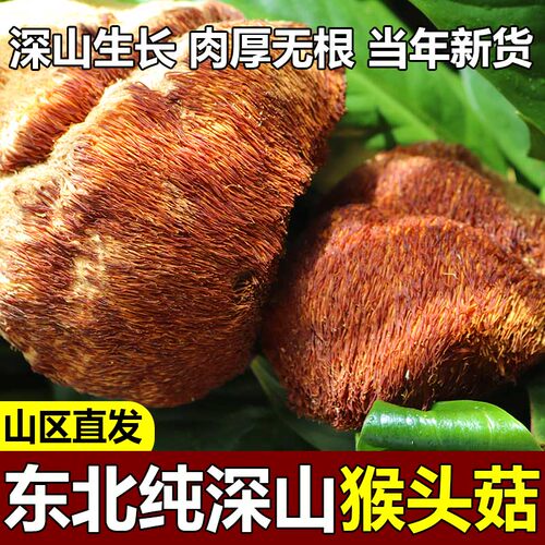 东北特产山猴头菇干货特级无添加