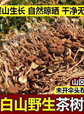 东北特产茶树菇干货特级无添加新货长白山野生茶树菇不开伞煲汤菌