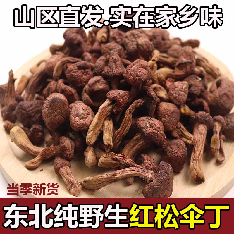 东北野生松树伞肉蘑菇新货炖炒