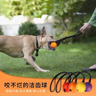 带绳弹力球狗狗训练耐咬橡胶球小型中型大型犬马犬边牧磨牙玩具球