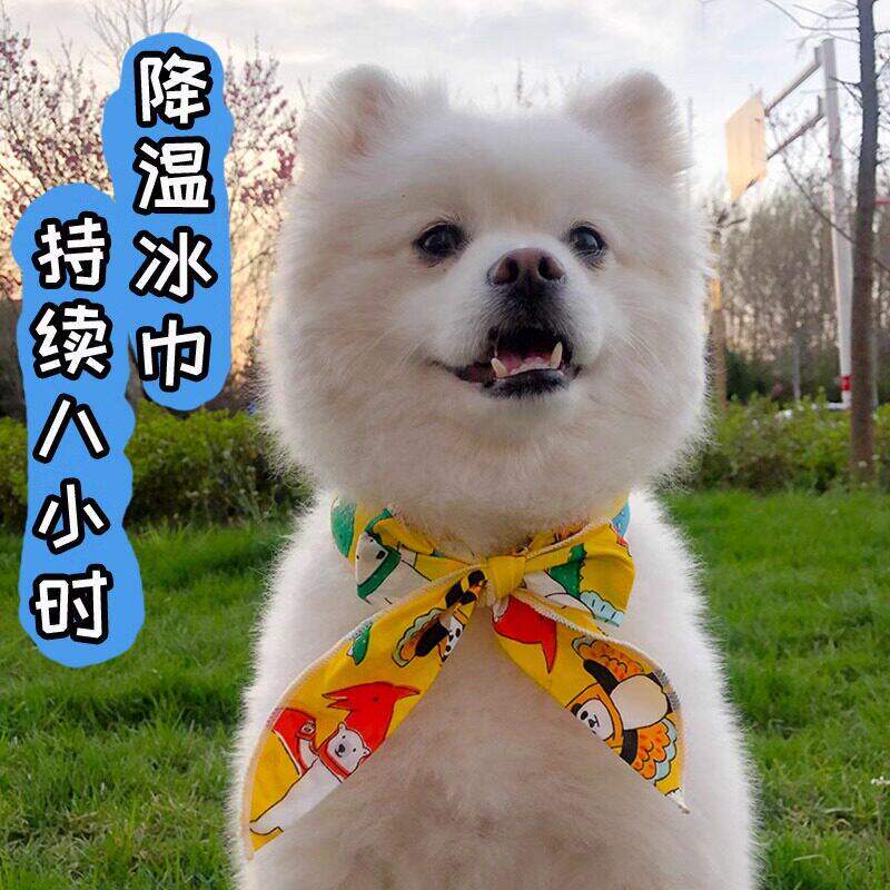 夏季狗狗降温围脖法斗柯基冰丝围巾口水巾宠物猫咪户外防中暑神器