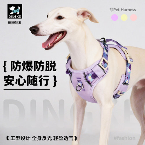 狗狗牵引绳遛狗背带背心式宠物狗绳大中小型犬外出专用防挣脱狗链