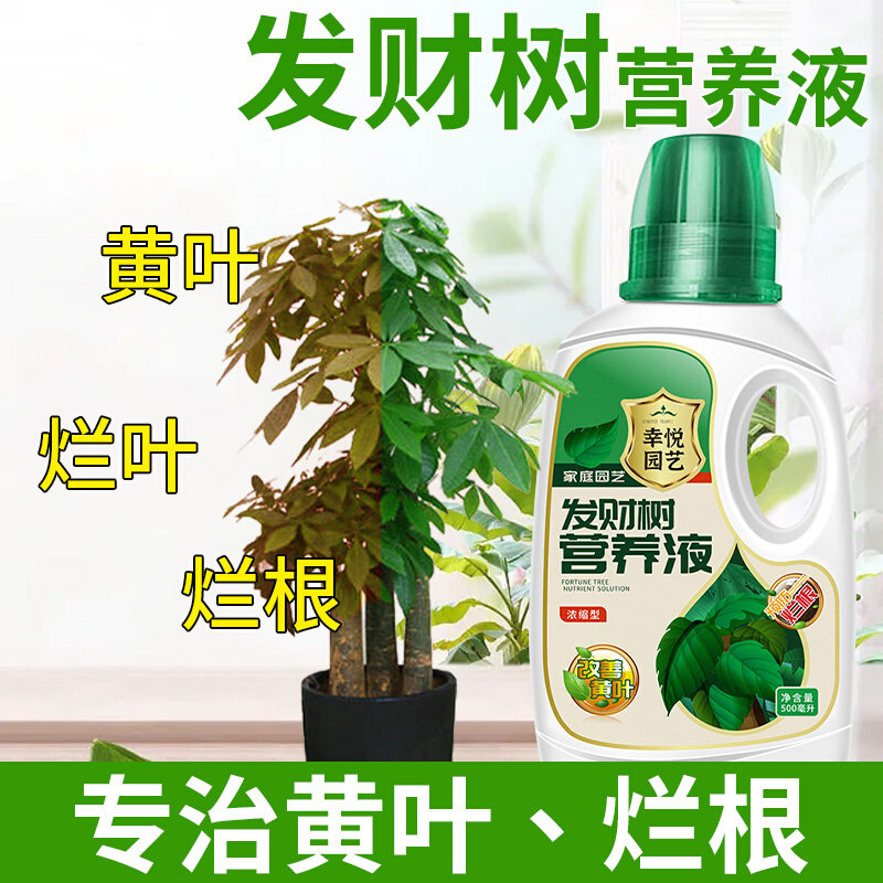 发财树营养液肥料专用肥治叶子发黄叶烂根室内盆栽植物花肥通用