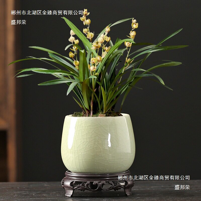 哥窑开片陶瓷花盆创意小叶紫檀文竹吊兰兰花盆景盆桌面小多肉花盆