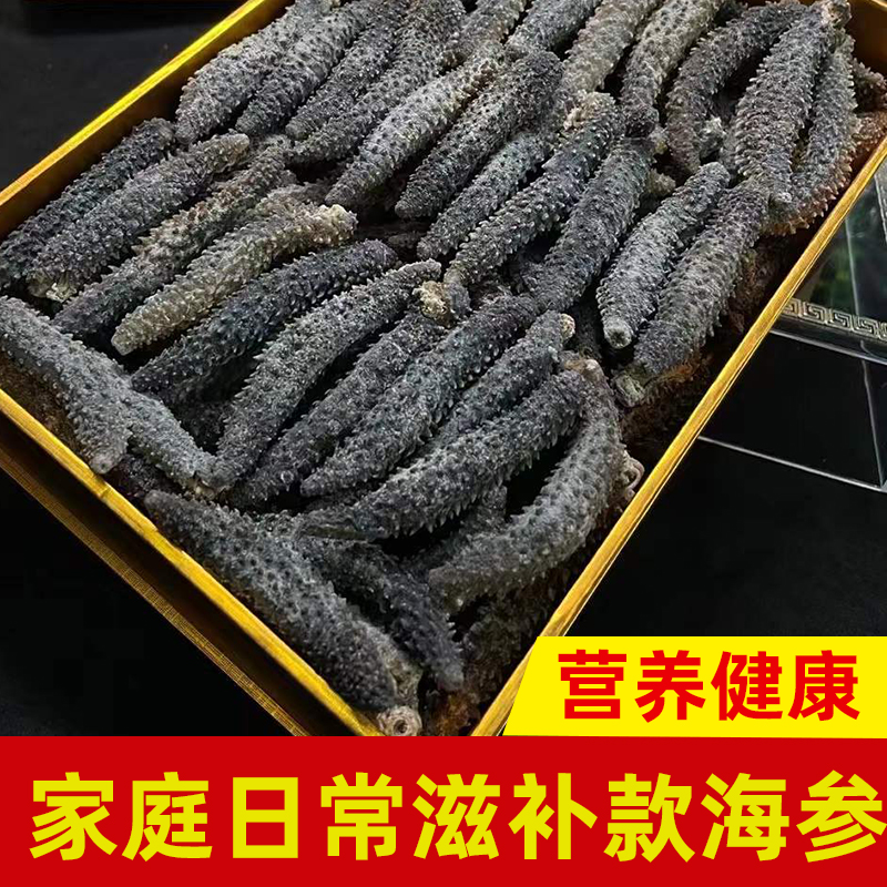 新货海参网红刺参酒店商用海鲜产品干货新鲜海渗