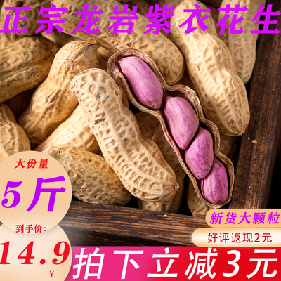 正宗福建龙岩特产四粒红湿烤紫衣花生带壳晒干蒜香水煮花生米5斤