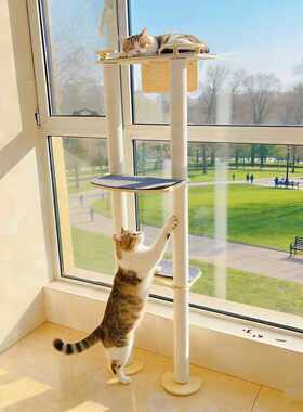 吸盘窗户实木猫爬架猫吊床简约组装超大空间多层猫窝阳台壁挂式