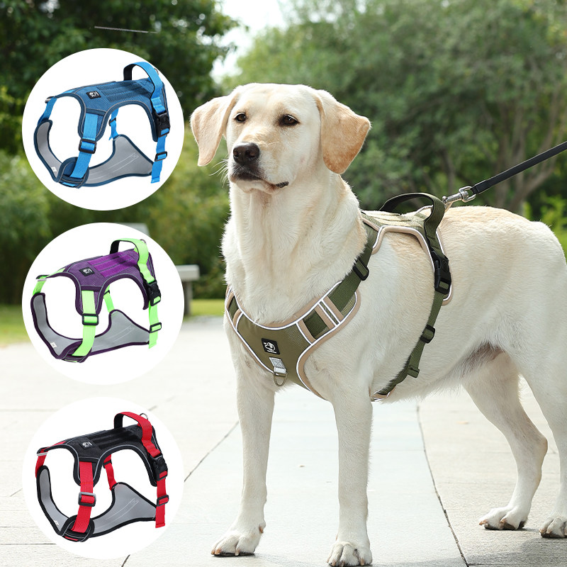 狗狗牵引绳背心式中大型犬金毛拉布拉多胸背带脖圈链遛狗绳可调节