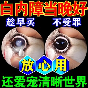 狗狗白内障专用眼药水滴眼液视力下降眼部白膜老年狗专用护理眼部