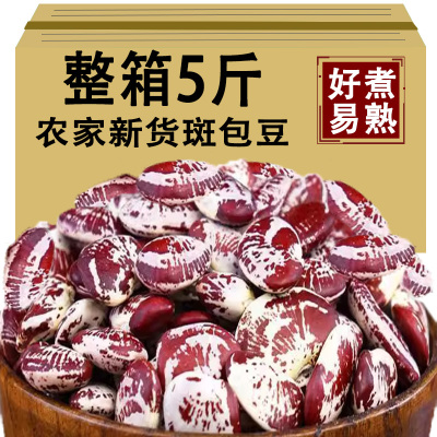 新货荷包豆云南农家自产 大圣豆斑马豆 新鲜 饱满粒大 批发特价