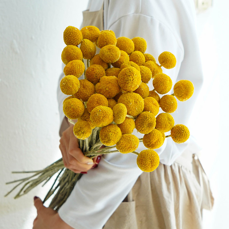 黄金球干花天然风干真花diy手工高端轻奢侘寂风客厅装饰插花摆件