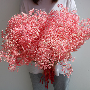 满天星永生花干花花束客厅摆设家居装 饰摆件天然风干高端真花大束