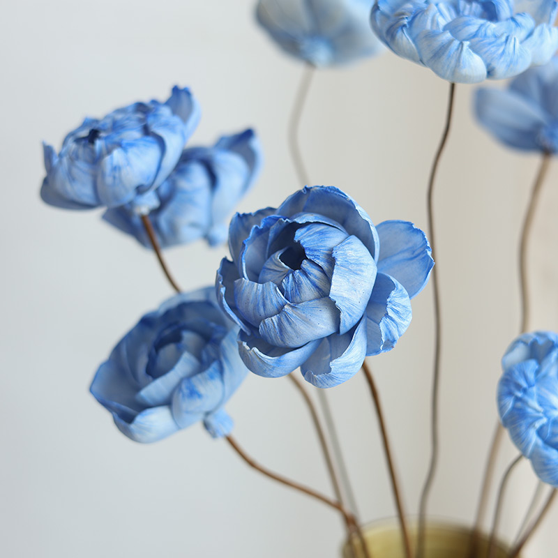 通草花永生花牡丹芍药莲花