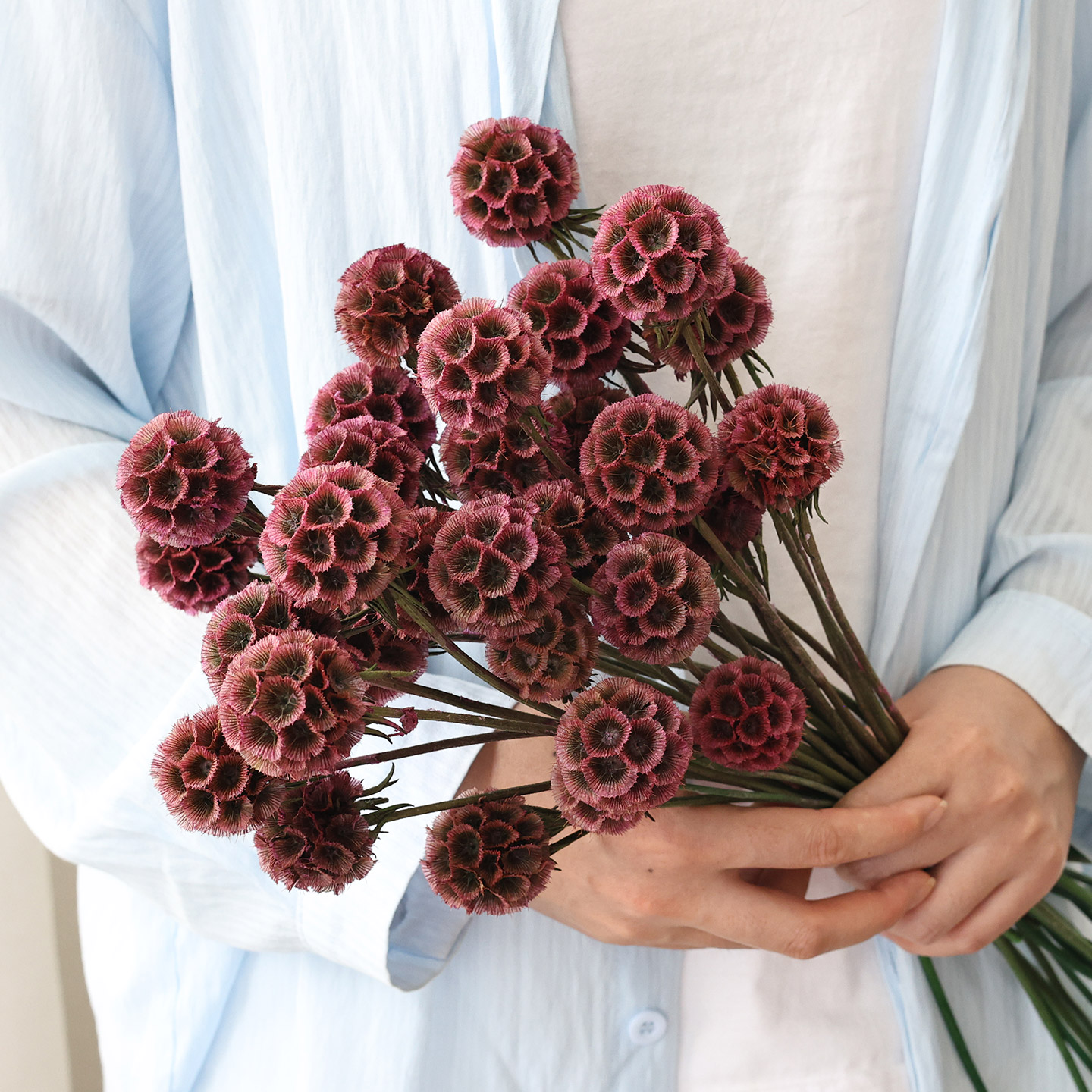 复古风车果干花花束天然风干真花