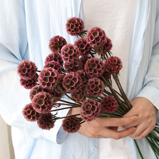 复古风车果干花花束永生花天然风干真花高级感中古风装 饰摆件插花
