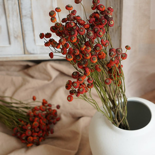 纯天然真花蔷薇果红果干枝高级感风干民宿客厅装 饰高端真干花花束