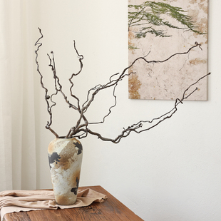 龙枣枝干树枝树干装 饰侘寂干花花束客厅摆设长枝干枝天然风干真花