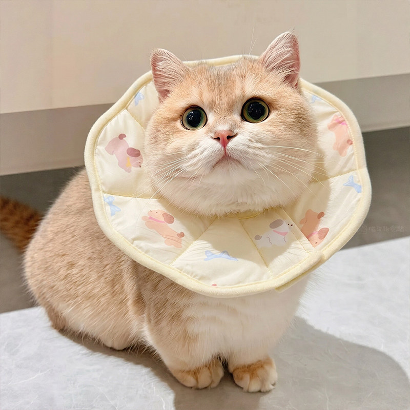 伊丽莎白圈猫咪头套宠物软圈防舔神器小型犬绝育项圈幼猫脖圈头罩