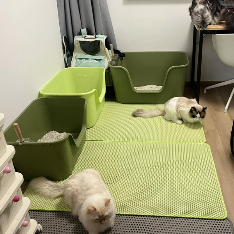 猫蹭猫砂双层垫可溅水洗猫咪砂盆猫咪脚垫用品EVA出防外加厚防带
