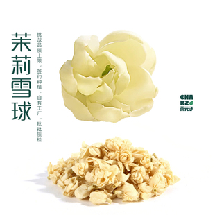 茶元子丨茉莉花茶泡水喝花苞浓香型泡茶食用级干茉莉花养生花草茶