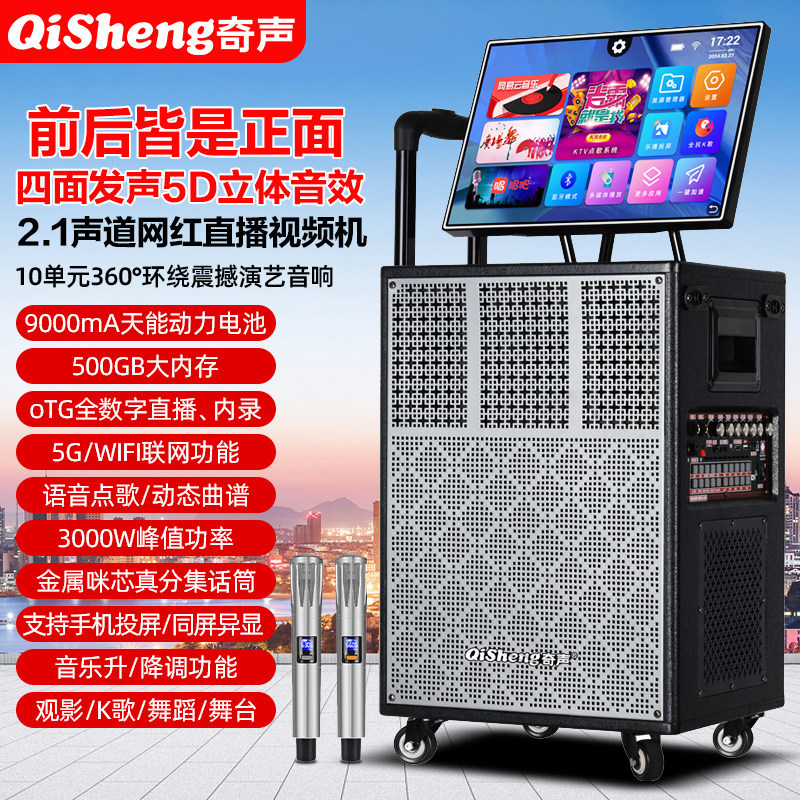 Qisheng/奇声双面户外广