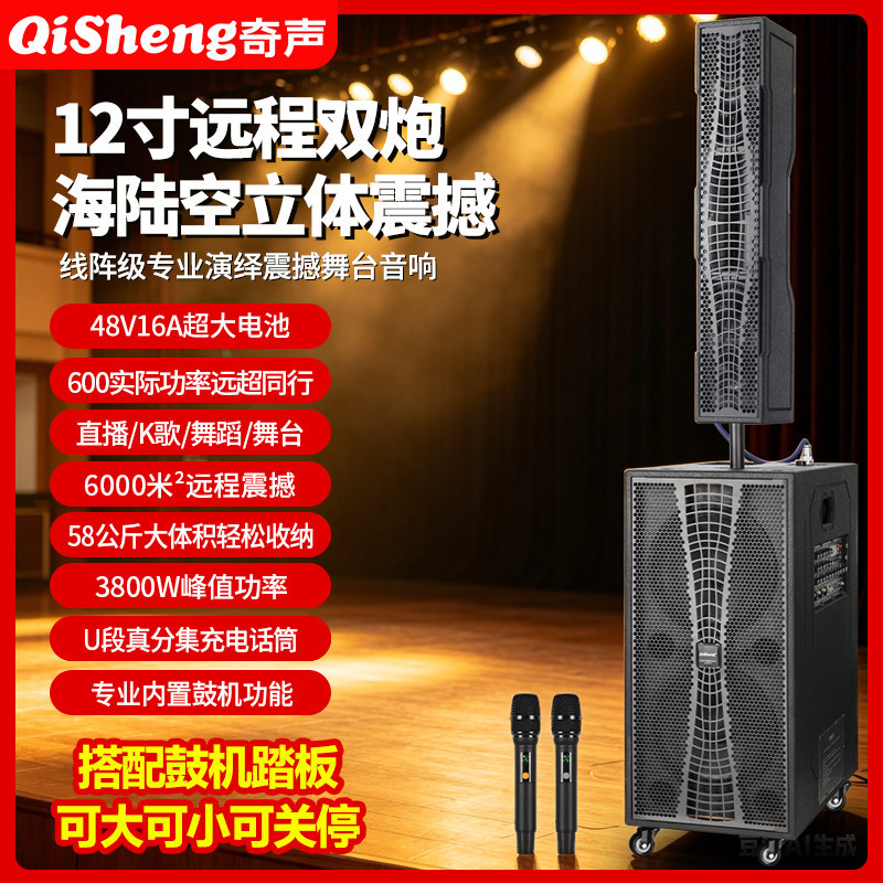 Qisheng/奇声双12线阵户