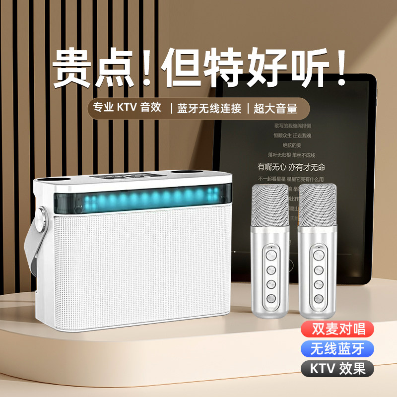 家庭KTV音响套装家用卡拉K歌音箱