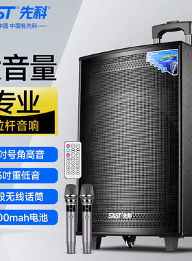 先科（SAST）12英寸重低