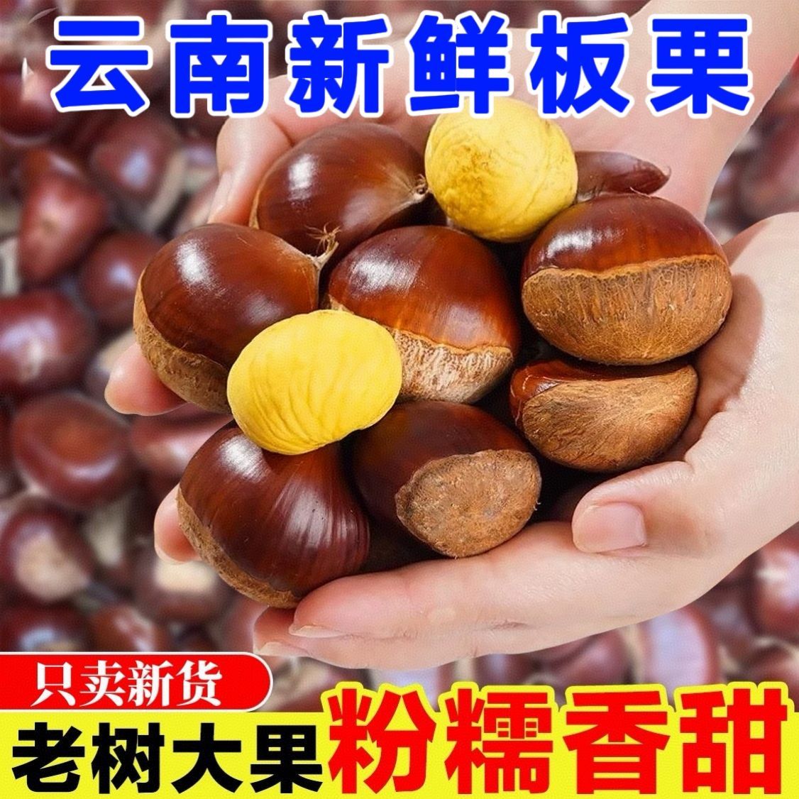 云南产地直发甜糯正宗板栗生栗子新鲜河北唐山大栗燕山甜糯小油栗