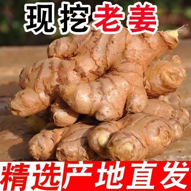 云南罗平高山农家自种新鲜现挖小黄姜老姜生姜月子姜老姜包邮爆款