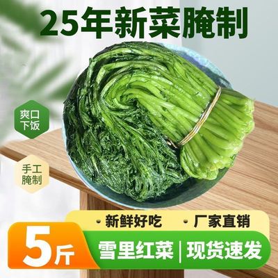 正宗农家新鲜腌制雪里红雪菜下饭菜雪里蕻咸菜爽口酱腌菜包子馅