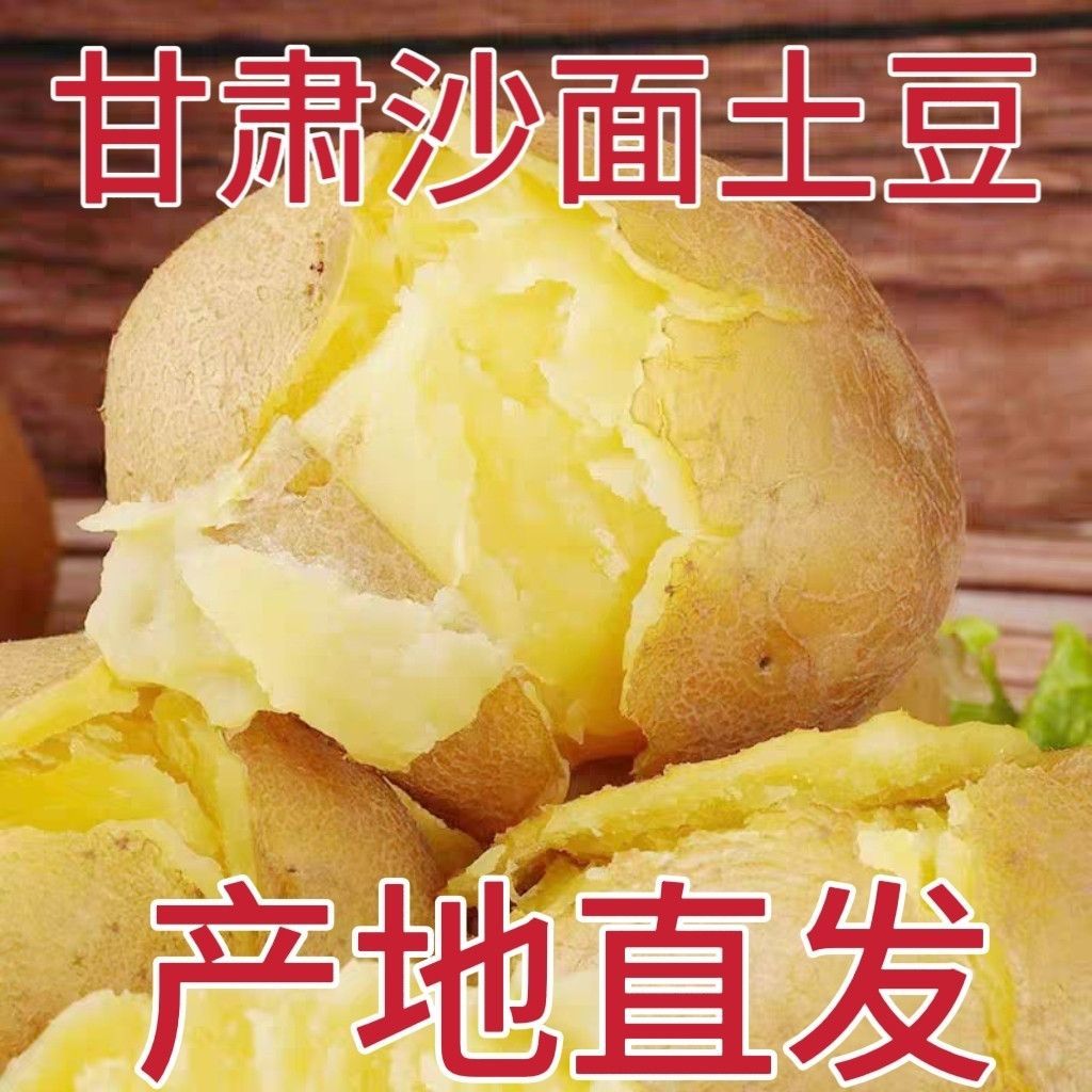 正宗甘肃定西黄心黄皮沙面粉糯大土豆农家自种土豆新鲜马铃薯洋芋