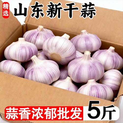 山东金乡原产地直发大蒜当季大蒜头干货炒菜调味浓郁回购白皮晒干