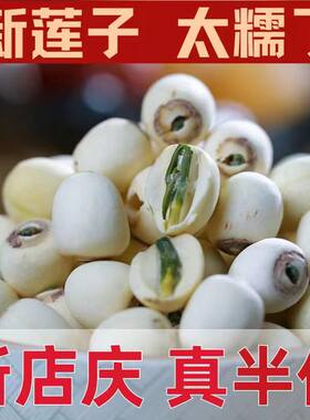 2026新货湘潭洪湖磨皮莲子500g