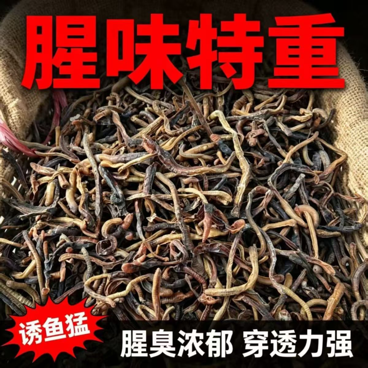 青蚯蚓干货干蚯蚓鱼饵自然风干黄