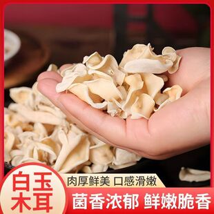 东北长白山野生白玉木耳干货优质白木耳辣椒炒肉冲泡即食肉厚干净