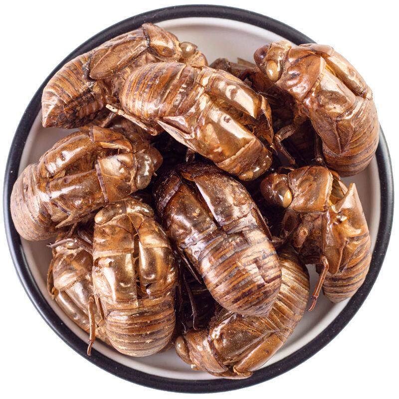 80个完整的蝉衣完整的蝉脱知了皮蝉蜕粉中药材虫蜕蝉壳回收
