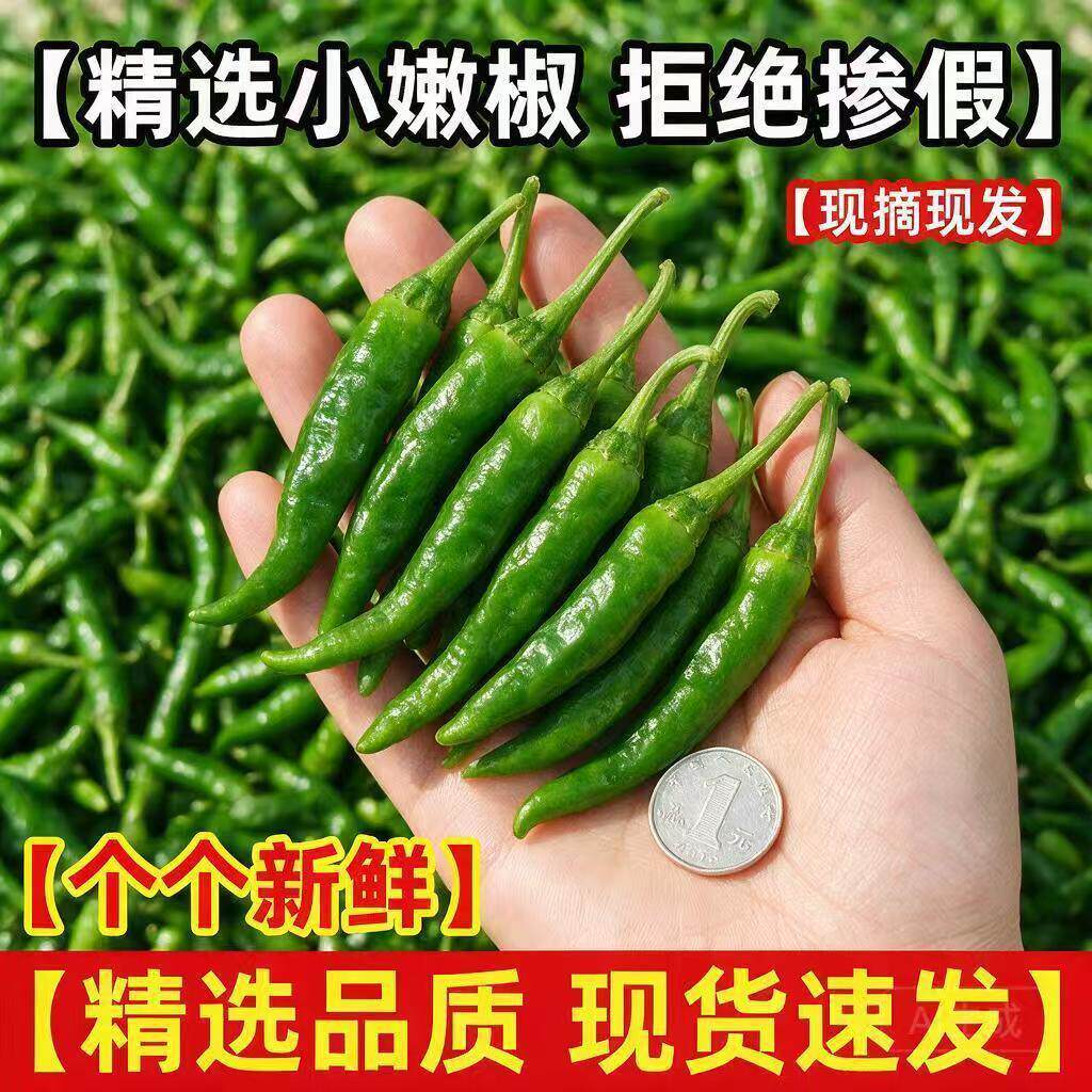 湖南正宗樟树港辣椒现摘新鲜下饭