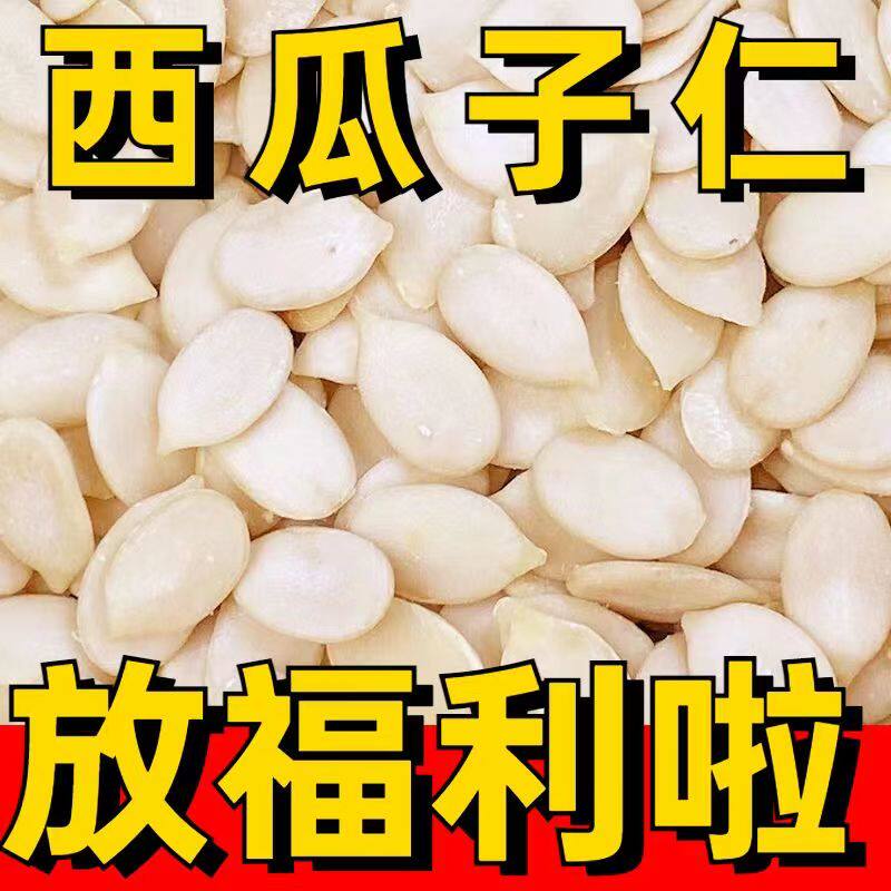 无添加生西瓜子仁500g袋装商用