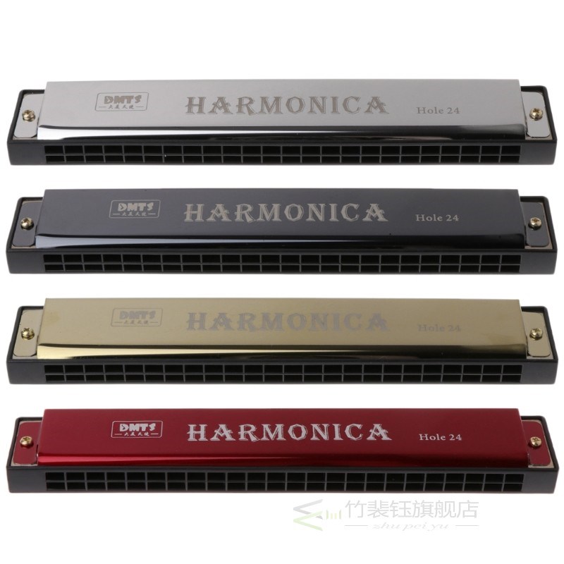 Professional 24 Hole Harmonica Key of C Mouth Metal Organ fo