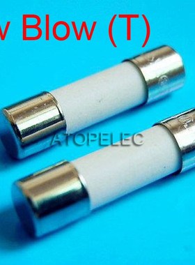 10pcs 5x20mm Ceramic Fuse 5mm x 20mm Slow Blow T  2A/3.15A/4