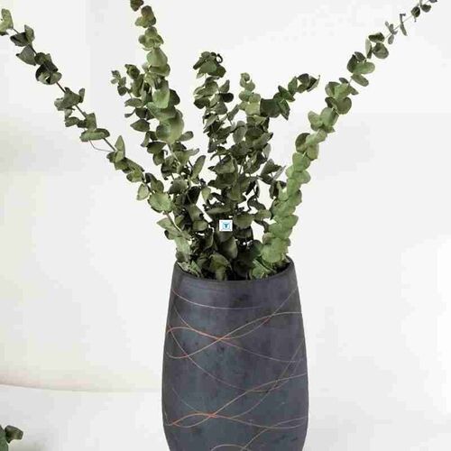 10pcs Natural Dried Flowers Bouquet Of Dried Eucalyptus