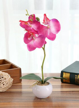 One Set Potted Bonsai Fake Plants Artificial Butterfly Orchi