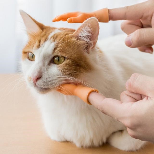 2 Pcs Finger Hands Cartoon Funny Cat Toy Creative Finger Sle