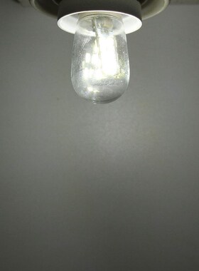 LED Light Bulb E12 2W 3014 SMD 24 LED High Bright Glass Shad