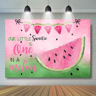 Watermelon Birthday Backdrop One in a Melon Pink Watermelon