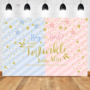 NeoBack Twinkle Star Backdrop Gender Reveal Party Boy or Gi
