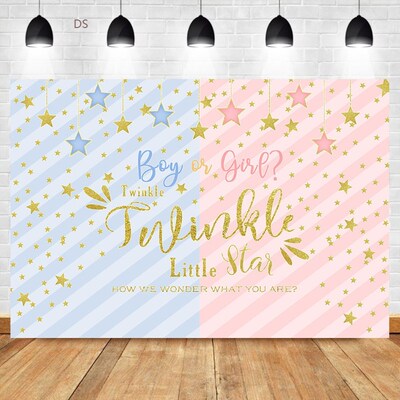 NeoBack Twinkle Star Backdrop Gender Reveal Party Boy or Gi