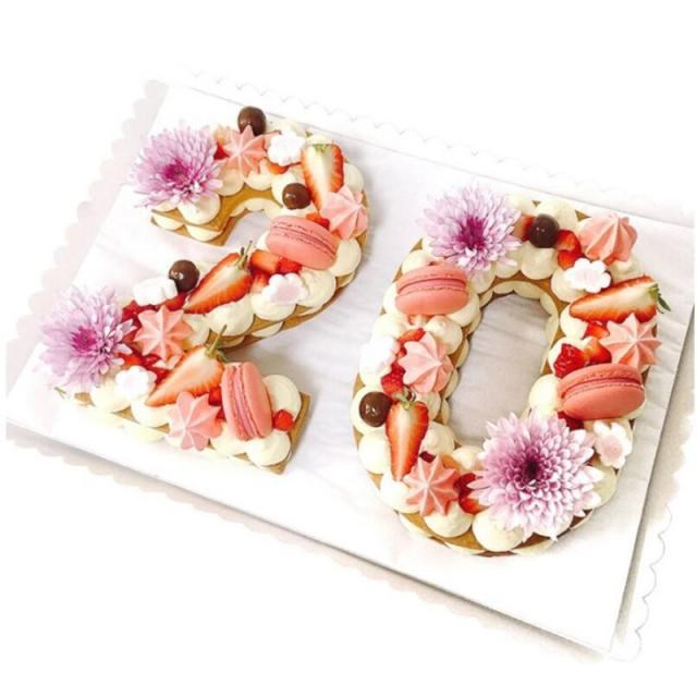 10inch PET 0-8 Numbers Cake Mold Cake Decorating Tools Confe