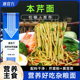 唐宫方苦荞本芹挂面苦荞麦面蔬菜面条无加蔗糖孕妇儿童健身主食